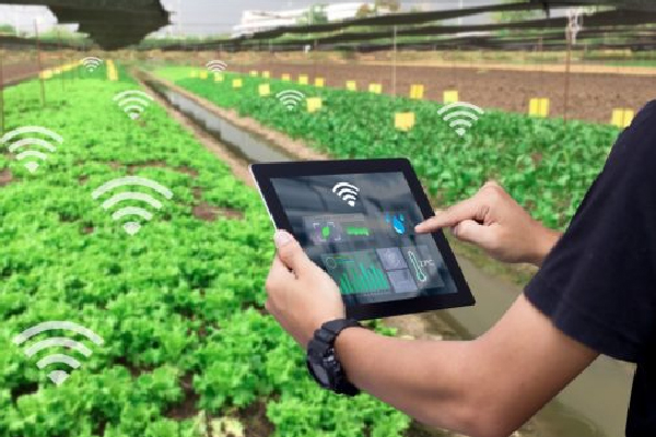 Smart Irrigation System